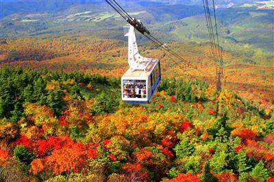 紅葉三昧の3日間！奥入瀬渓流や十和田湖観光、りんご風呂にねぶたな