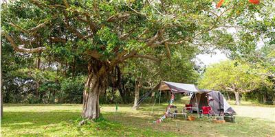 遊び場の宝庫！施設が充実のキャンプ場「県民の森」で沖縄の自然をと
