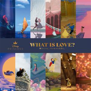 体験展示やグッズ販売も♪ディズニープリンセス展「WHAT IS 