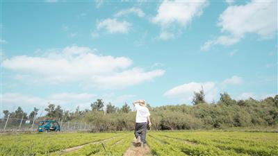 【募集定員150名】話題のボラケーションで島ライフ満喫♪モニター