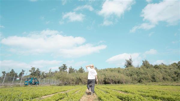 【募集定員150名】話題のボラケーションで島ライフ満喫♪モニター