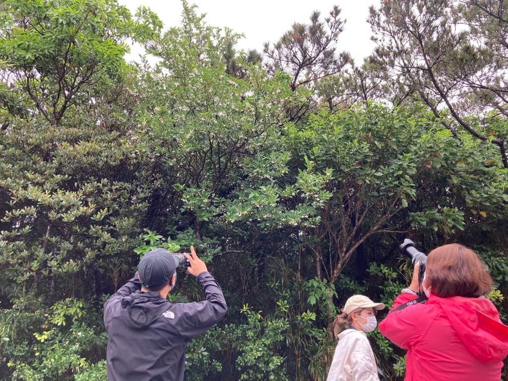 島まーる 渡嘉敷島