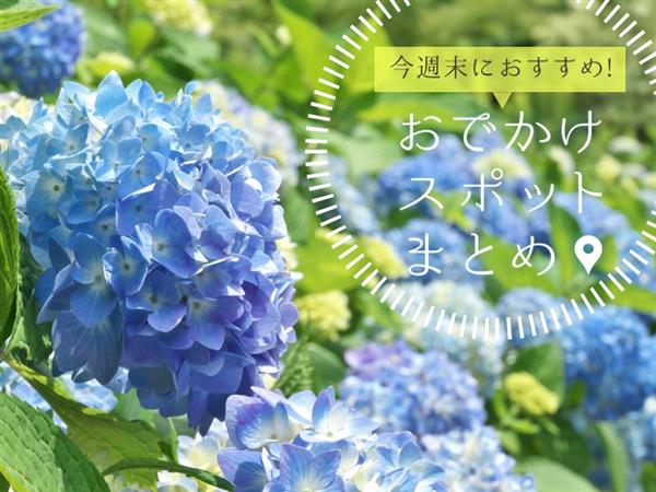 【5月13日(土)・14日(日)】今週末に楽しめるイベント・おで