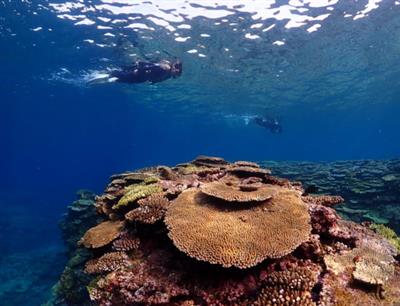 【募集定員300名】モニターツアー費用の7割を県が助成する「島ま