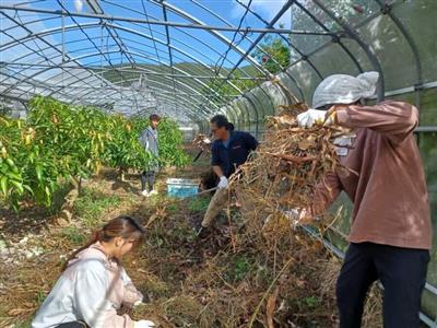 【島まーる】費用の7割を県が助成！ボランティアで離島をサポートす
