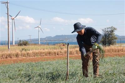 費用の7割を県が助成！観光以上の体験ができる旅「島まーる」新着モ