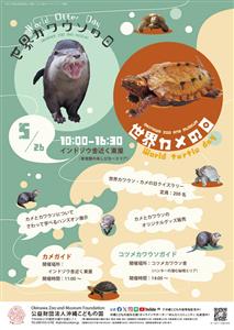見て触れて考える！沖縄こどもの国でカワウソとカメについて楽しく学