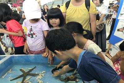 好奇心で学ぶ力がグングン育つ！「夏休みこども自由研究 in 沖縄