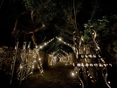 ノスタルジックで神秘的♪沖縄で初となる竹あかり®演出で初夏の夜を