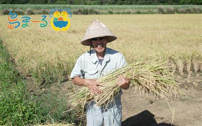 県内離島へのボランティアツアー費用の6割を沖縄県が助成！2024