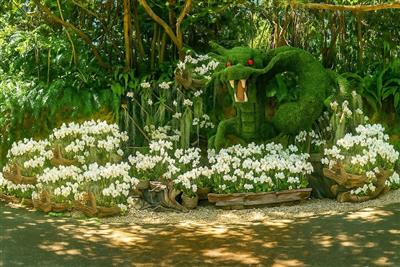 約15,000輪のデンファレが華やかに寄り添う♪ビオスの丘「らん