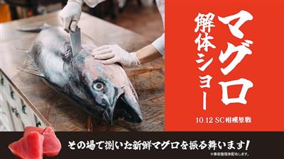 心躍るグルメフェス！「マグロ解体ショー＆無料振る舞いイベント」「