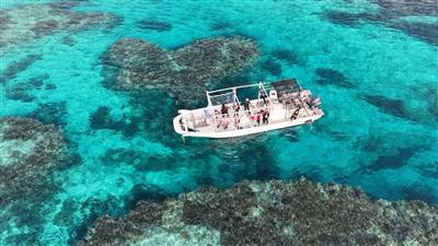 宮古島・黒島・伊是名島からも登場！沖縄県民限定「島まーる」ボラン