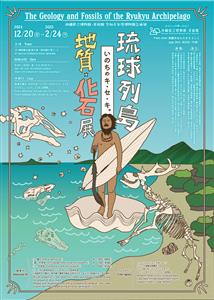 3億年前にさかのぼろう！「琉球列島 地質・化石展」が沖縄県立博物