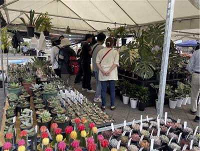 子どもブーケ教室や押し花教室が無料♪色とりどりの花きが一堂に集ま