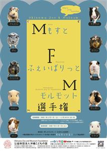 あなたのNo.1はどの推しモルモット？オリジナル商品開発をかけた