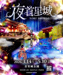 光に彩られた幻想的な世界へ♪ライトアップ・プロジェクションマッピ