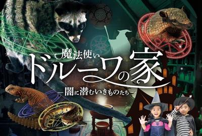 不思議な生き物がひしめく「魔法使いドルーワの家～闇に潜むいきもの