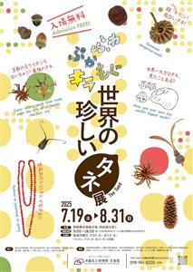 入場無料！見て・触れて・学べる「ふわ・ぷか・もぐ・キラ　世界の珍