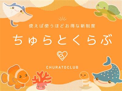 ちゅらとく初の会員ランク制度「ちゅらとくらぶ」が2026年2月6