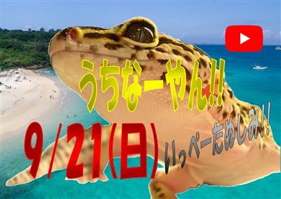 全国の珍しい爬虫類やエキゾチックアニマルと出会える「ジャングルハ