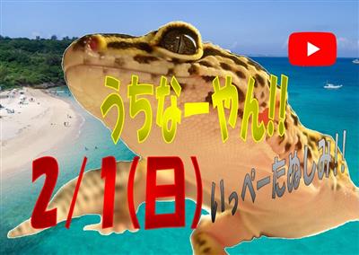 全国の珍しい爬虫類やエキゾチックアニマルと出会える「ジャングルハ