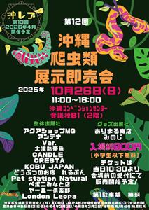 爬虫類ファン必見！沖縄コンベンションセンターで「第12回 沖縄爬