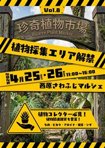 植物採集エリア解禁！まだ知らない植物たちに出会える「珍奇植物市場