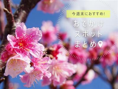 【2026年1月24日(土)・25日(日)】今週末に楽しめるイベ