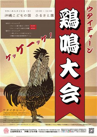 沖縄在来のニワトリ『チャーン』の魅力を体感しよう♪沖縄こどもの国