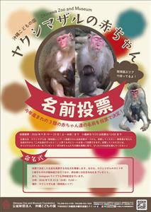 3頭の赤ちゃんの名前をみんなで決めよう！沖縄こどもの国で「ヤクシ