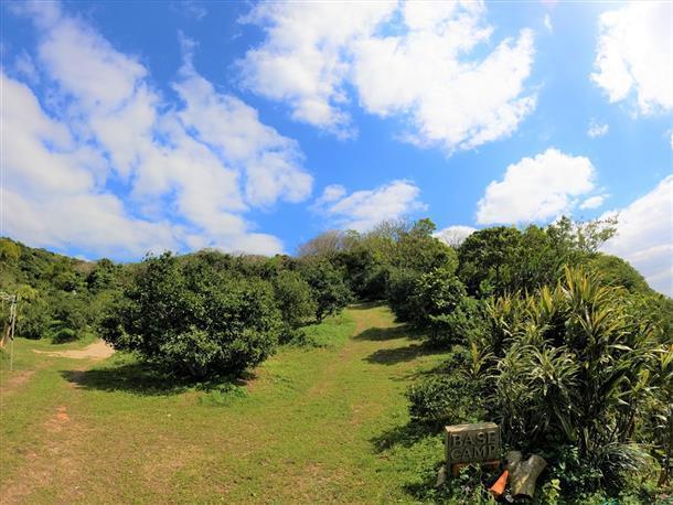 シークヮーサー農園