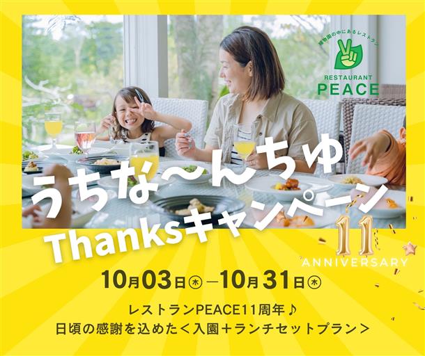 レストラン11周年キャンペーン