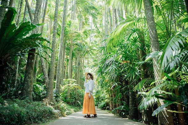 珍しい植物を南国らしい景色の中で楽しめる