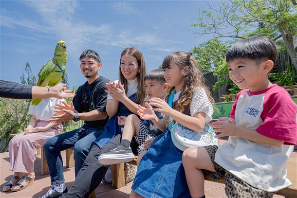土日祝日限定１日２回のバードパフォーマン