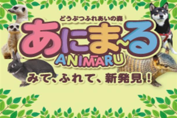 あにま～る