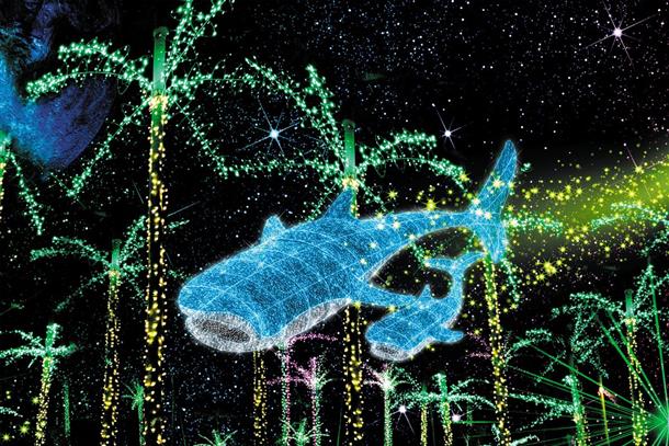 植物と輝く園内をお楽しみください