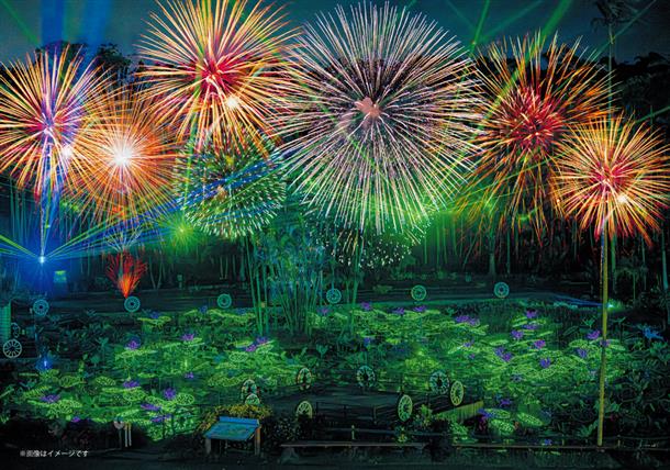 花火の打ち上げも♪