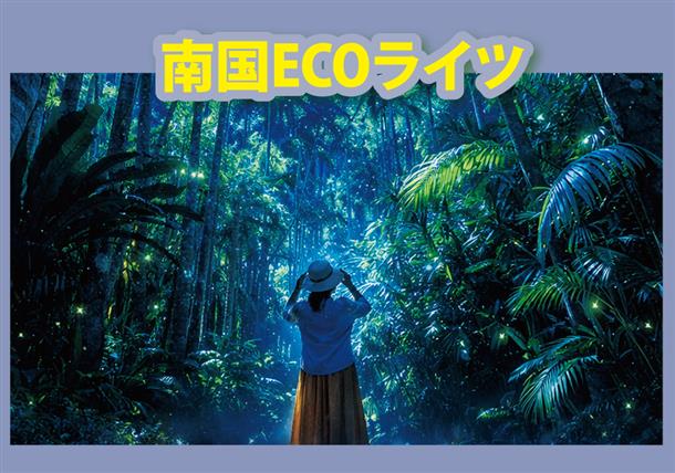 17時からはライトアップ