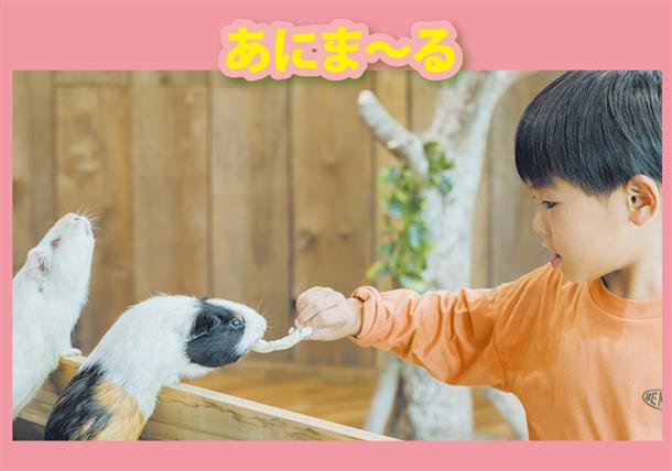 どうぶつふれあいの森