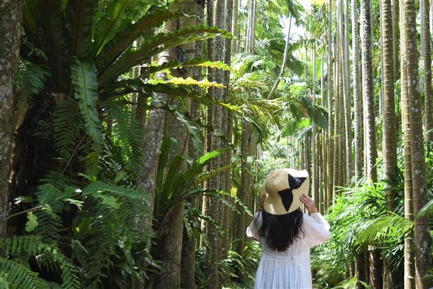 南国らしい景観が広がる園内