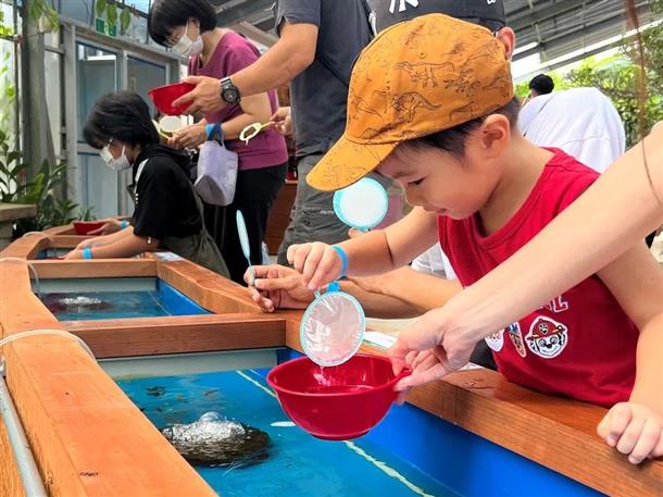 金魚すくいならぬ熱帯魚すくい