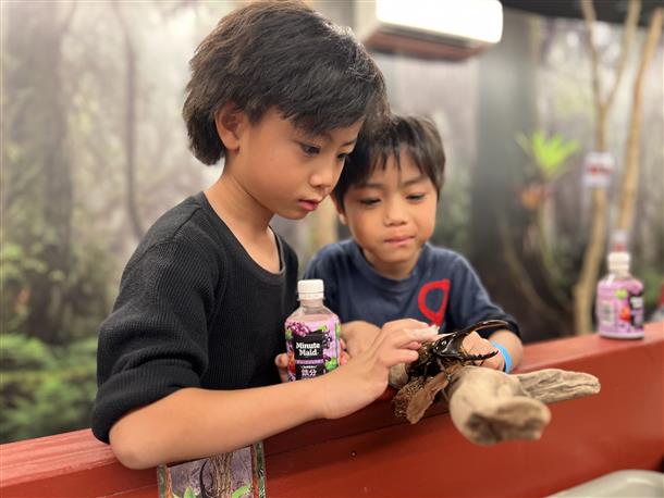 世界各国からやってきたカブトムシ