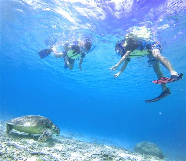 とかしくビーチ