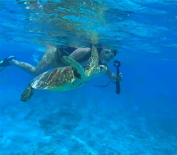 とかしくビーチ