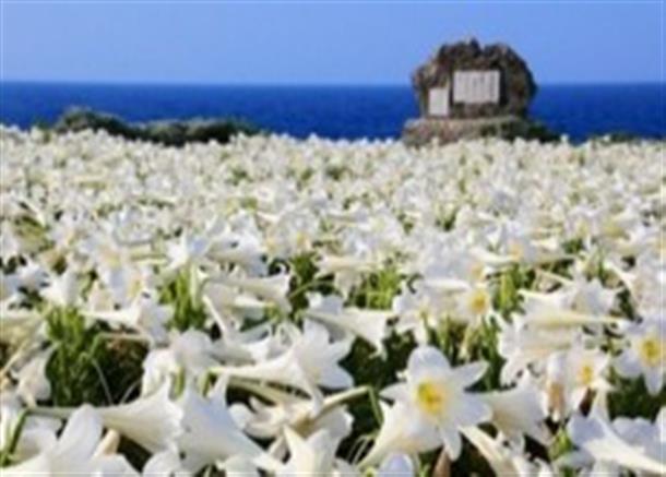 リリーフィールド公園