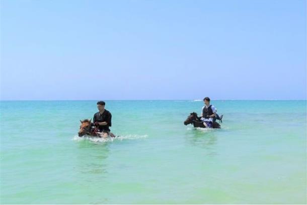 透明度の高い海で馬と遊ぶのは最高！
