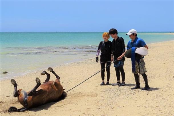 海から上がったら、砂の上をゴロゴロ♪