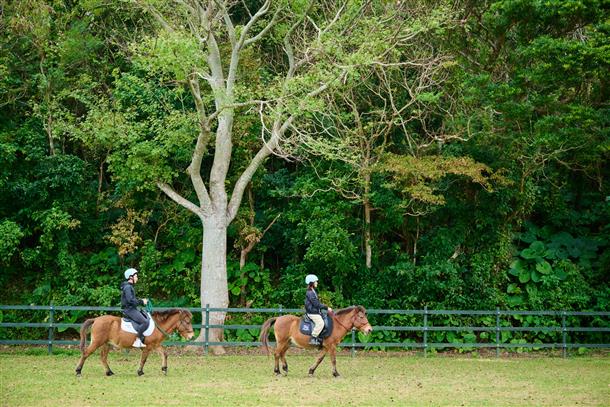 自然豊かなユインチホテル南城の馬広場