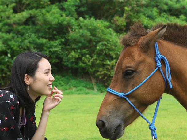 人懐っこいヨナグニウマとたっぷりふれあう